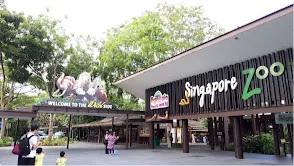  Singapore Zoo